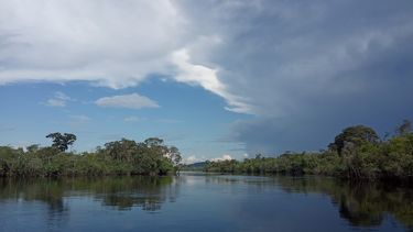 Río Orinoco, ubicado en Venezuela.