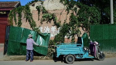 Mujeres recogen parte de un mural en el suelo cerca del epicentro del terremoto en el condado rural de Pingyuan de Shandong el 6 de agosto de 2023.