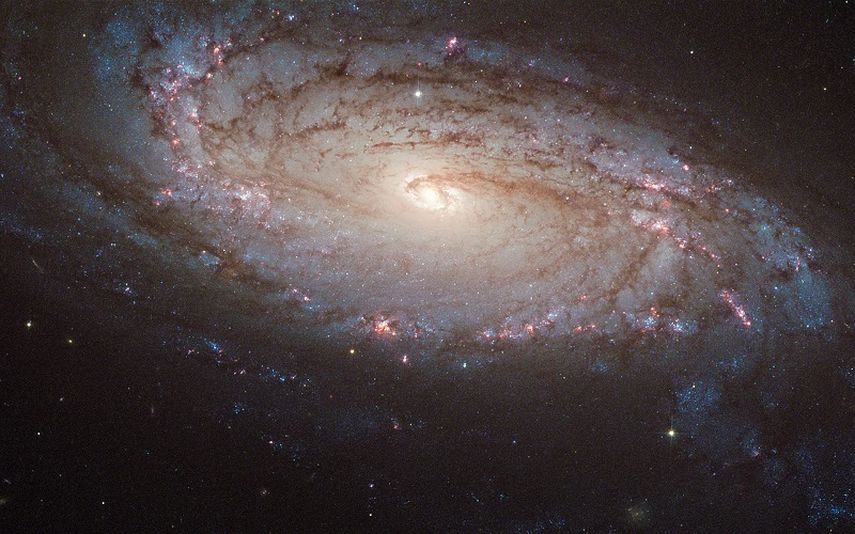 Se encuentra en el área central del Cúmulo de Perseo, la mayor concentración de galaxias próxima a la Vía Láctea y su cercanía.