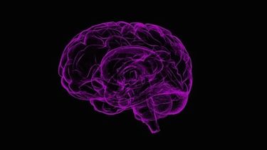 En este momento, no existe cura para el Alzheimer, pero hay tratamientos disponibles para los síntomas, mientras los estudios investigativos continúan.