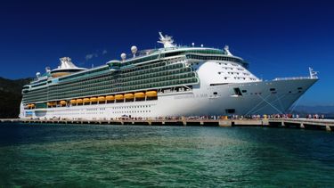 buscan a un pasajero que cayo de un crucero frente a florida
