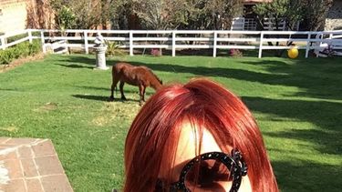 La cantante mexicana Alejandra Guzmán, quien se presentará el próximo domingo en Puerto Rico, criticó al precandidato republicano Donald Trump. (INSTAGRAM)