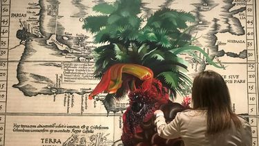 Un visitante observa Untitled (Terra Nova), 2020, de Firelei Báez, en la exposición Chosen Memories: Contemporary Latin American Art from the Patricia Phelps de Cisneros Gift and Beyond, en el Museo de Arte Moderno (MoMa) de la ciudad de Nueva York el 1 de mayo de 2020. 2023.