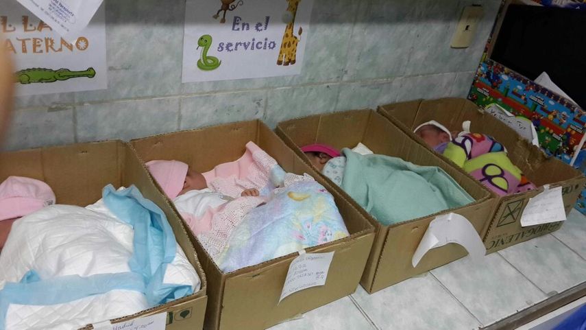 Ferreira publicó las fotografías en las que se pueden ver a los neonatos en cajas de cartón.&nbsp;