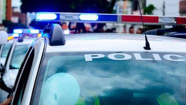 Michael Michael Paul, de 25 años, fue arrestado el domingo acusado de hurto mayor y operar un vehículo con una licencia suspendida.