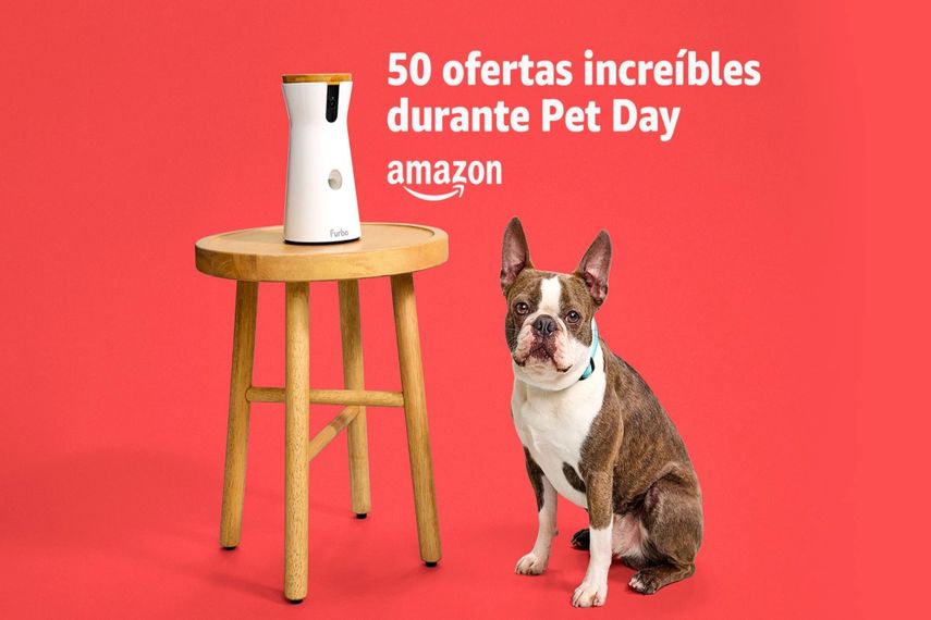 Ofertas de Pet Day 2024 para consentir a tus mascotas