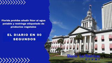 El Diario en 90 segundos