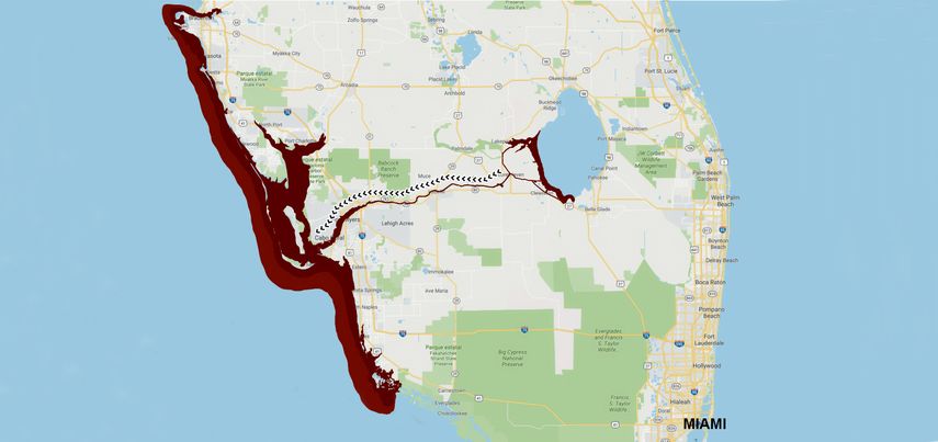Son 145 millas afectadas por la microalga, según indica el área sombreada en la costa oeste de la Florida.