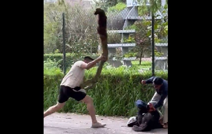 Momento cuando un turista hondureño evitó un femicidio en la ciudad de Quito, Ecuador.&nbsp;