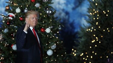 Esta es la primera Navidad que Donald Trump pasa en Florida como presidente en ejercicio.