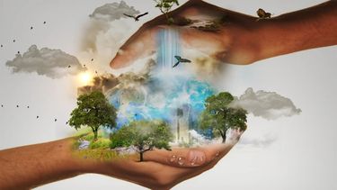 la Rubisco proporciona la energía que alimenta la vida en nuestro planeta