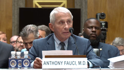 Anthony Fauci, exdirector del Instituto Nacional de Alergias y Enfermedades Infecciosas.&nbsp;