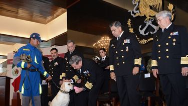 Fotografía cedida por la Secretaría de Marina, de la ceremonia de jubilación de Frida, una perra labradora, ícono del rescatismo en México.