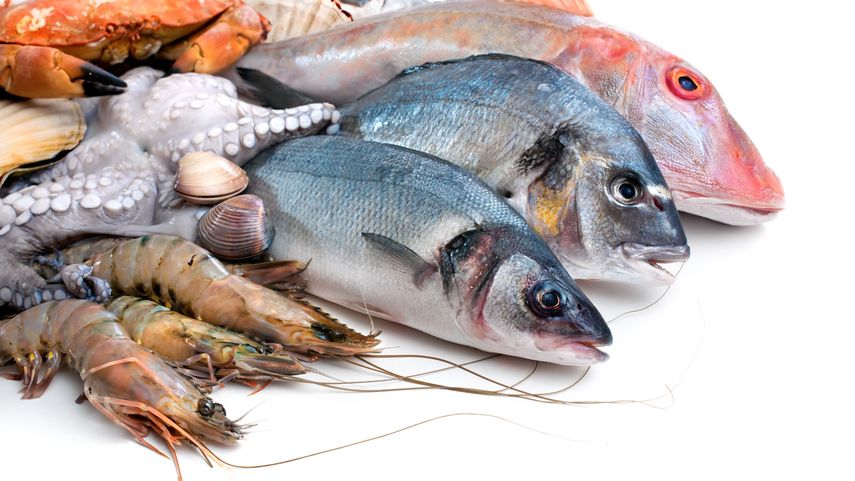 El pescado es rico en proteínas de calidad.
