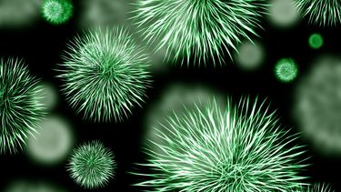 En EEUU, la bacteria carnívora o come carne obligó a un alerta nacional por parte de los&nbsp;Centros de Prevención y Control de Enfermedades (CDC) &nbsp;