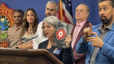 Daniella Levine Cava, alcaldesa de Miami-Dade. Daniella Levine Cava, alcaldesa de Miami-Dade.