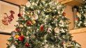 Recogida de arbolitos de Navidad en Miami-Dade. Recogida de arbolitos de Navidad en Miami-Dade.