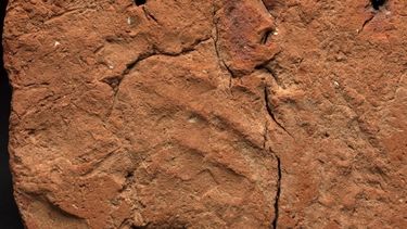 Huella humana de 4.000 años descubierta en la base de una casa de almas egipcia.    
