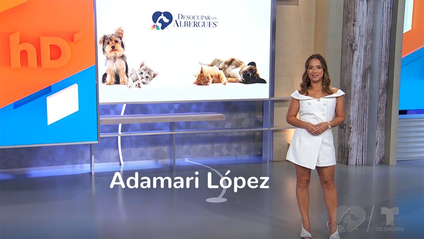 Adamari López presenta campaña especial para Telemundo.