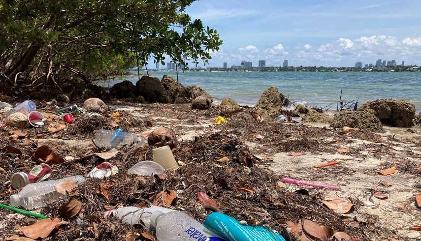 Pequeña isla en Bahía de Biscayne.