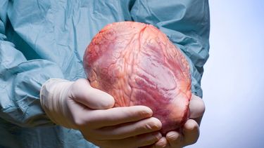 Para ser donante, el historial médico es más importante que la edad, de hecho en EEUU se registró el caso de un voluntario de 92 años de edad. (Archivo)