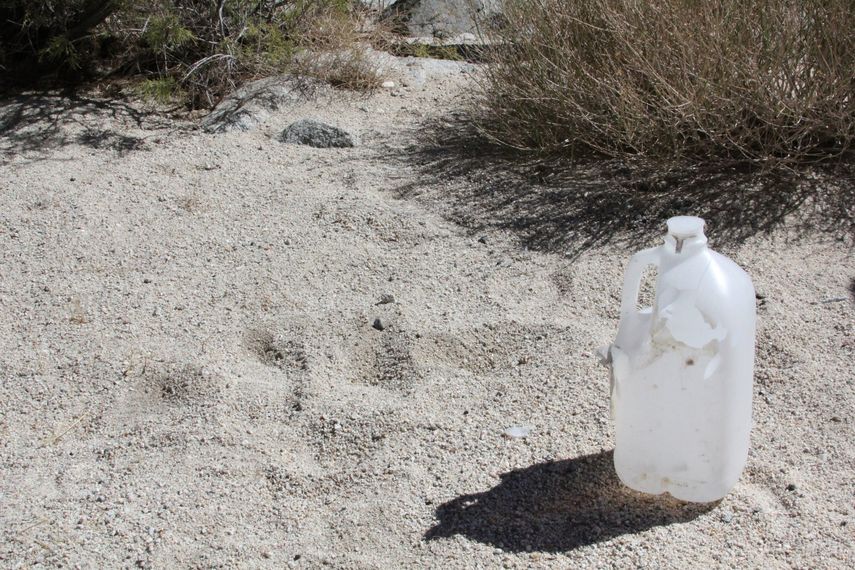 Detalle de una botella de agua vacía que fue utilizada por inmigrantes que intentaban cruzar las montañas de la frontera con México entre San Diego y el Condado Imperial, donde aprovechan el muro fronterizo para cruzar hacia Estados Unidos. 