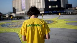 El comunicado se difundió horas después de que 42 ex empleados y ex voluntarios de Greenpeace Andino, que opera en Argentina, Chile y Colombia, denunciaran casos de acoso, abuso y hostigamiento&nbsp;