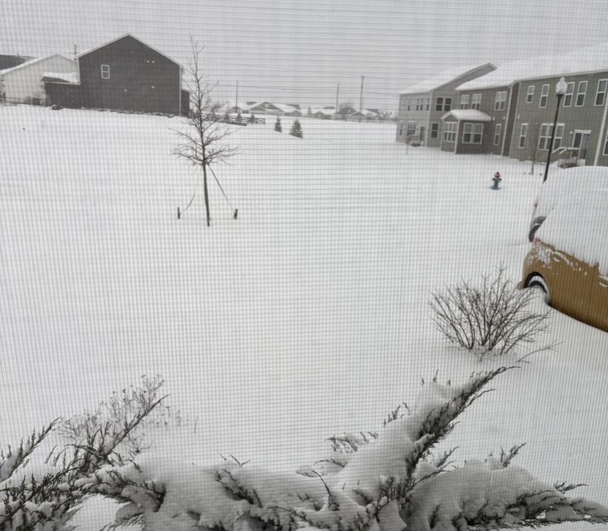 En Tennessee, donde el hielo derribó líneas eléctricas, más de 250.000 clientes seguían sin suministro. Los cortes afectaban también a unos 100.000 clientes en Luisiana y en Misisipi.  