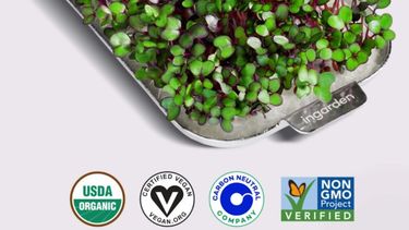 Los microvegetales son una excelente fuente de nutrientes esenciales, poseen componentes bioactivos.