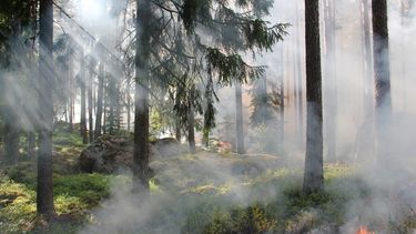 Imagen referencial de un incendio forestal.
