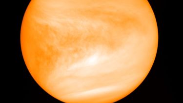 El planeta Venus, foto proporcionada por el investigador Jane Greaves y captada por la sonda japonesa Akatsuki, en mayo de 2016