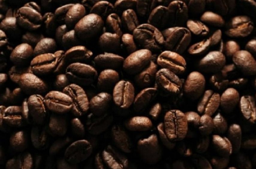 Los efectos de la proteína hallada ya fueron probados exitosamente en ratones de laboratorio (EFE/Archivo)