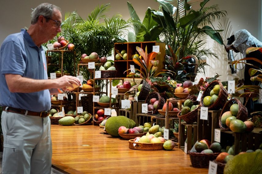 Jardín Botánico Tropical Fairchild celebra el Festival del Mango 2024.