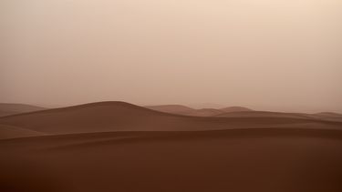 El 12 de julio es el Día Internacional de la Lucha Contra las Tormentas de Arena y Polvo