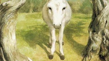 La portada de Platero y yo de Juan Ramón Jiménez. (CORTESÍA). 