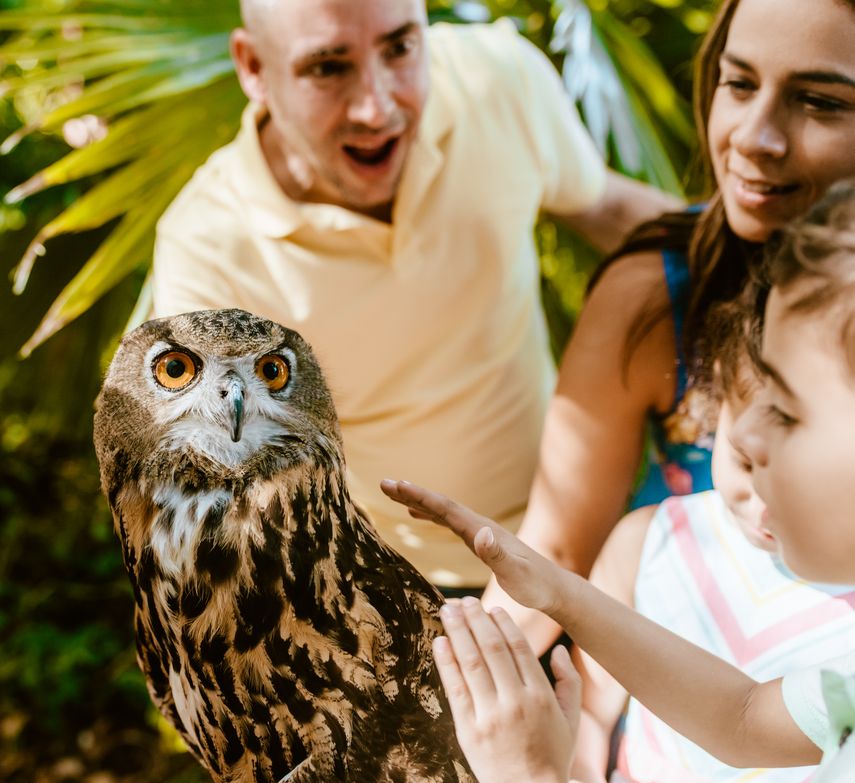 Parque Jungle Island.