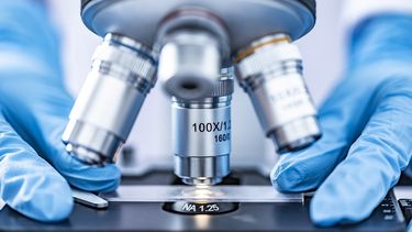 Científico realiza estudios en un laboratorio.&nbsp;