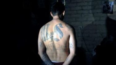 Los Plainfield Locos Salvatruchas tienen su base en la ciudad de Plainfield y operan en tres condados de Nueva Jersey.