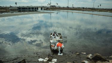 Limpieza en la Marisma de Talbert, CA.
