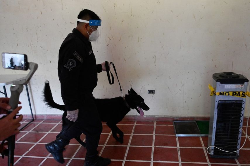 La prohibición entrará en vigor el 14 de julio