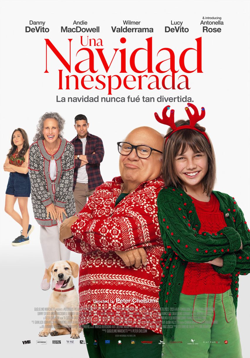 Flyer del filme &nbsp;Una Navidad inesperada.