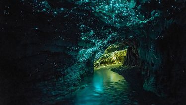 Diario las Américas | Cuevas-de-Waitomo-Glowworm-Nueva-Zelanda.jpg