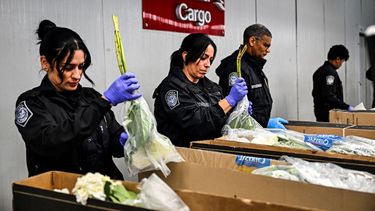 Agentes federales del Departamento de Agricultura de Estados Unidos, inspeccionan un cargamento de flores.
