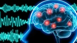 La&nbsp;epilepsia es una enfermedad del sistema nervioso.&nbsp;