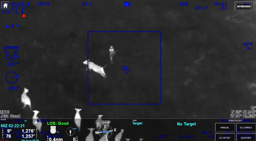 La oficina del condado&nbsp;Seminole publicó el video donde se ve a las vacas siguiendo a la sospechosa.&nbsp;