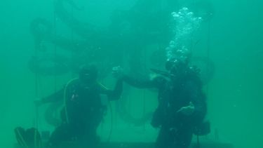 Siete grandes esculturas hechas con cuatro materiales ambientales fueron escogidas para la exposición inaugural.