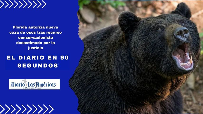 Florida autoriza nueva caza de osos tras recurso conservacionista desestimado por la justicia 2