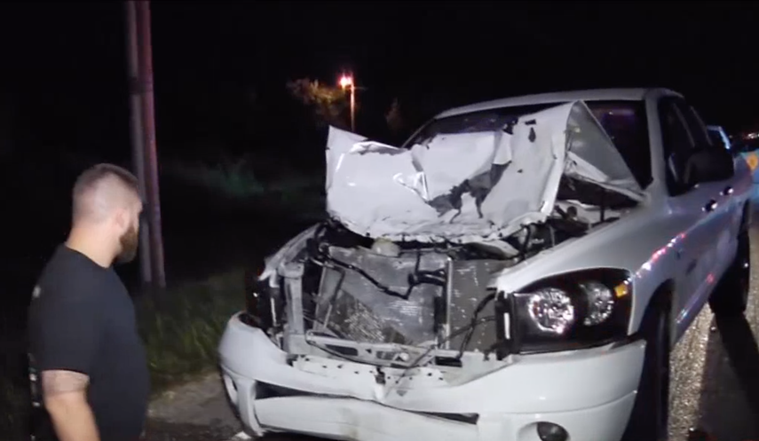 El auto se impactó contra una vaca.&nbsp;