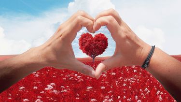 Compartir el Día de San Valentín con regalos es afianzar el amor y la amistad&nbsp;