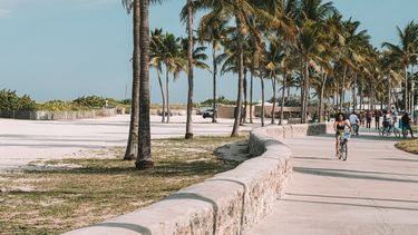 Vista parcial de South Pointe Park, en Miami Beach.